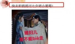 杨紫最新爆料知乎,揭秘娱乐圈背后的真实故事